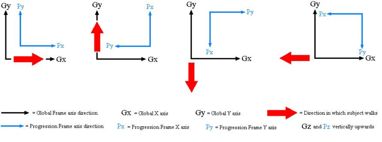 What is the Plug-in Gait 'Progression Frame' and how is it used? | Vicon