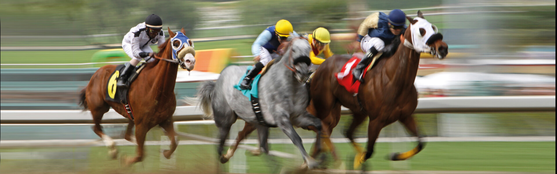Making the Sport of Kings Safer & Faster